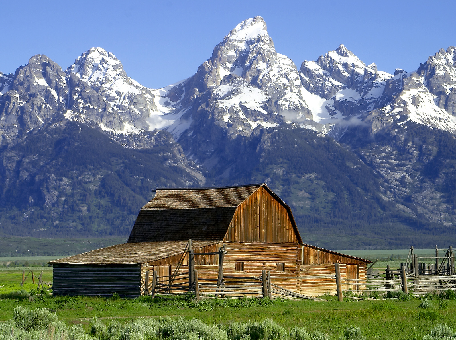 Mormon Row