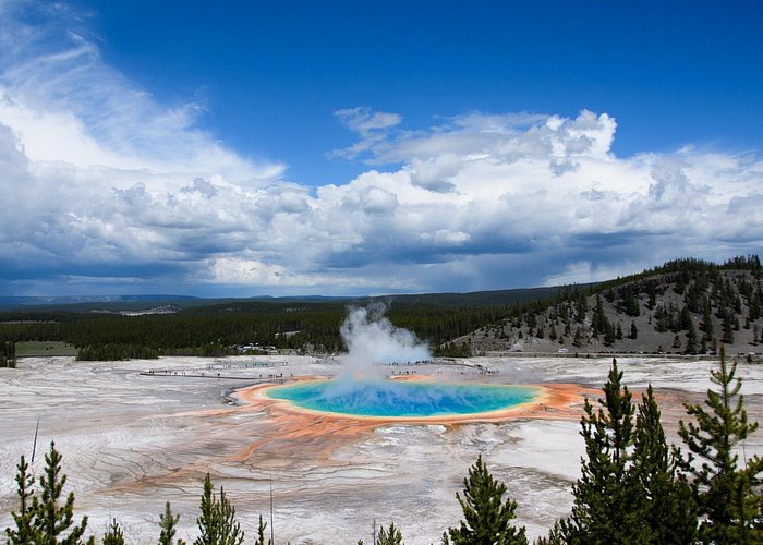 Yellowstone Old Faithful and Lower Loop Tour